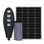 Đèn Chiếc Lá 200W Năng Lượng Mặt Trời D-SA200LRV